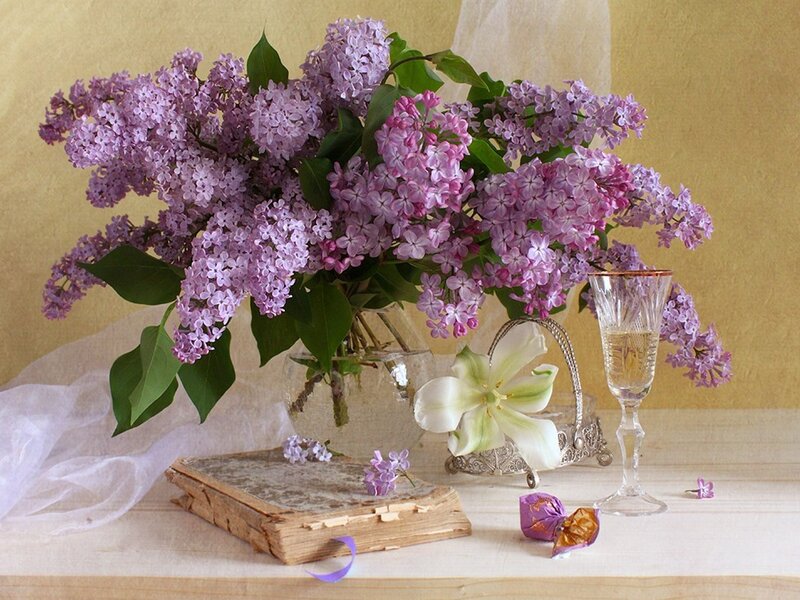 Lilac Bouquet in Vase — Purple, Serene, Spring, Photograph, Book