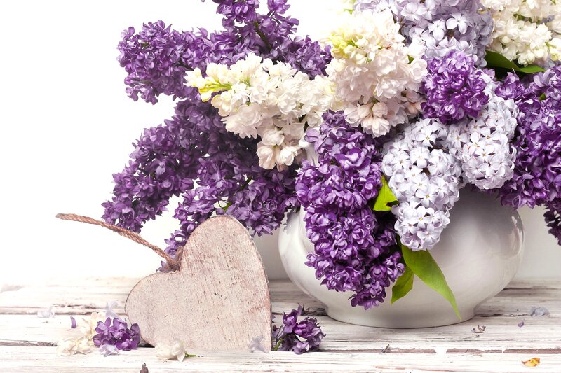 Lilac Bouquet in Vase — Purple, Serene, Spring, Photograph, Heart