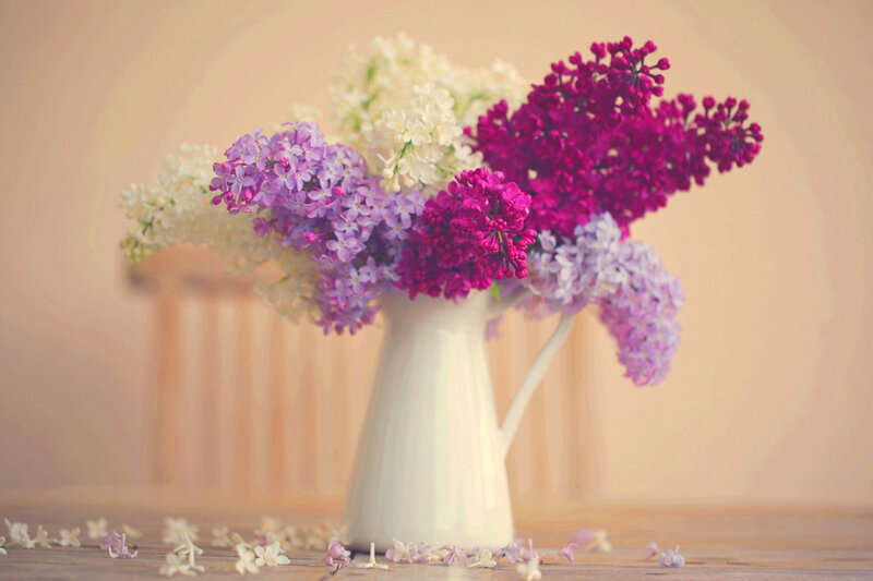 Lilac Bouquet in Vase — Purple, Serene, Spring, Photograph, Table
