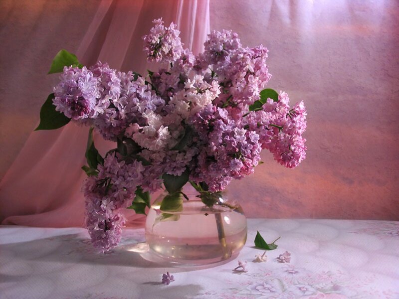 Lilac Bouquet in Vase — Purple, Serene, Spring, Photograph, Tablecloth