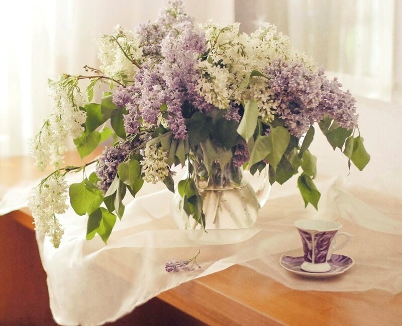 Lilac Bouquet in Vase — Purple, Serene, Spring, Photograph, Teacup