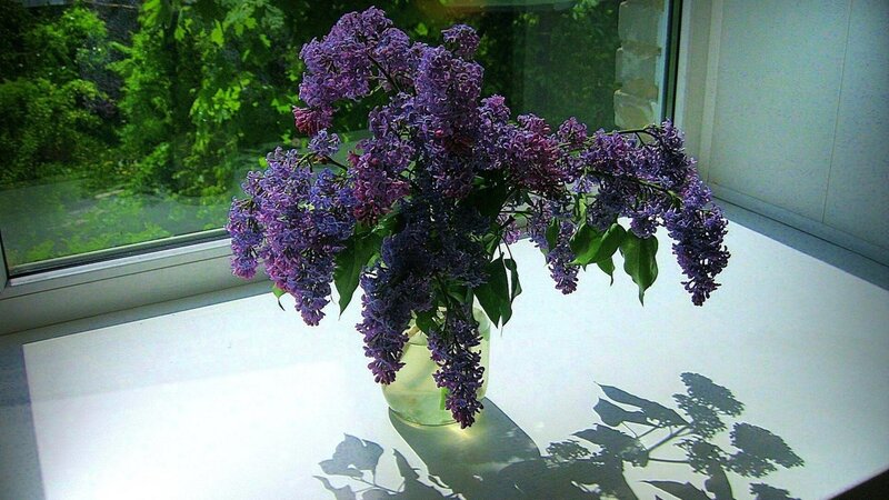 Lilac Bouquet in Vase — Purple, Serene, Spring, Photograph, Window