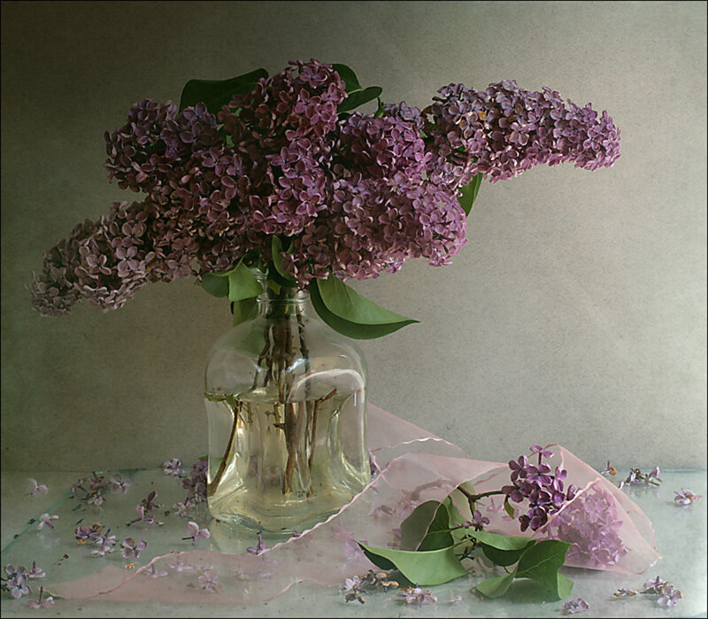 Lilac Bouquet in Vase — Purple