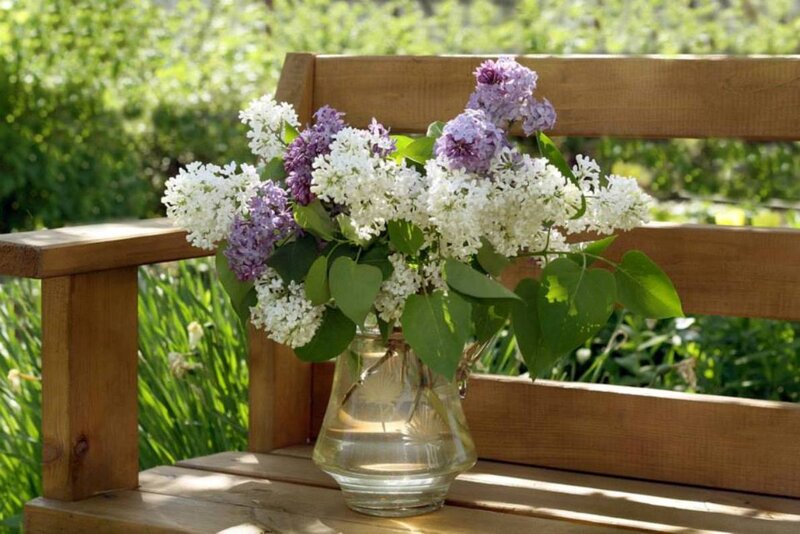 Lilac Bouquet in Vase — White