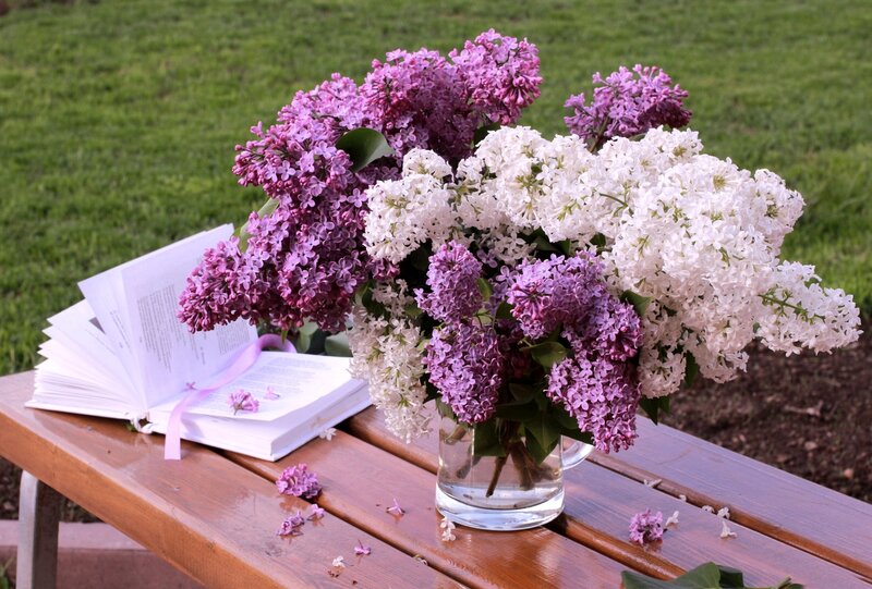 Lilac Bouquet on Bench — Purple
