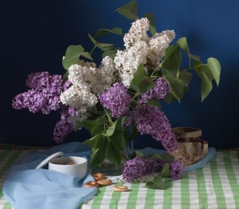 Lilac Bouquet on Table — Purple, Calm, Photograph