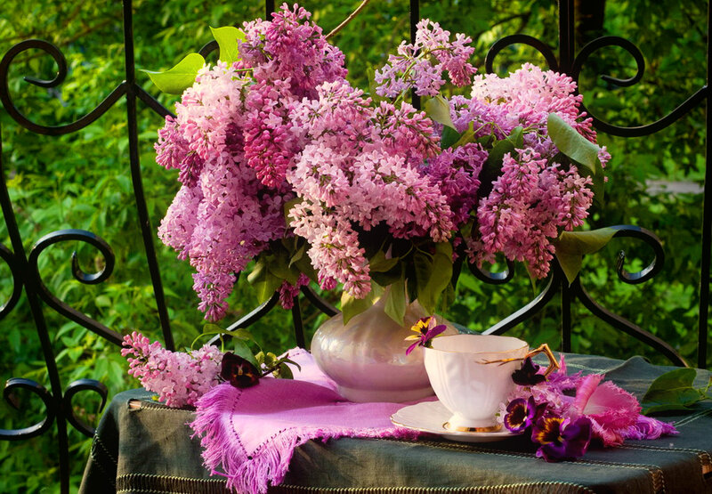 Lilac Bouquet on Table — Purple, Serene, Spring, Photograph, Teacup, Vase