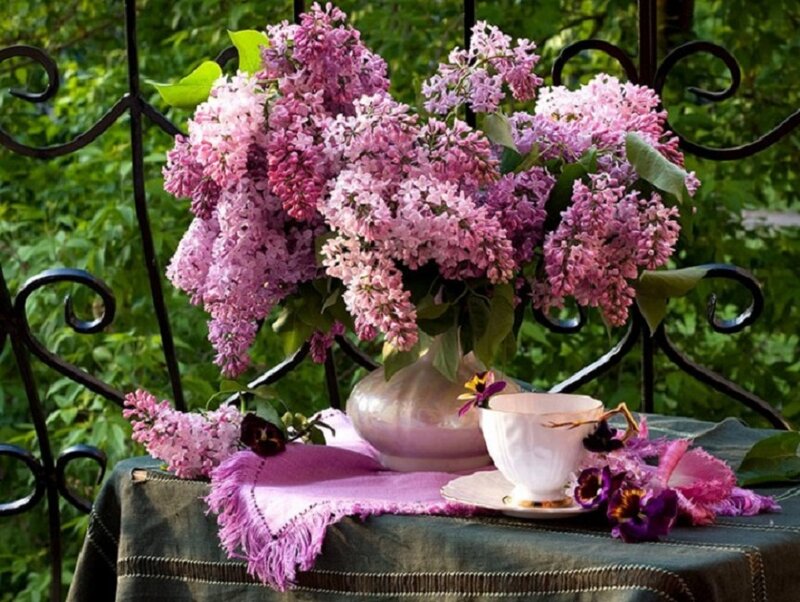 Lilac Bouquet on Table — Purple, Serene, Spring, Photograph