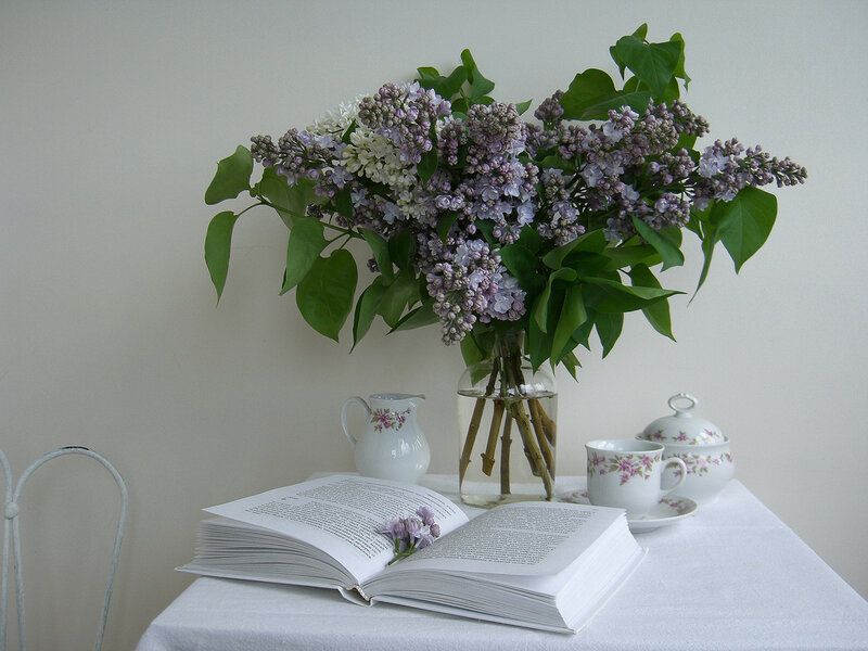 Lilac Bouquet on Table — White