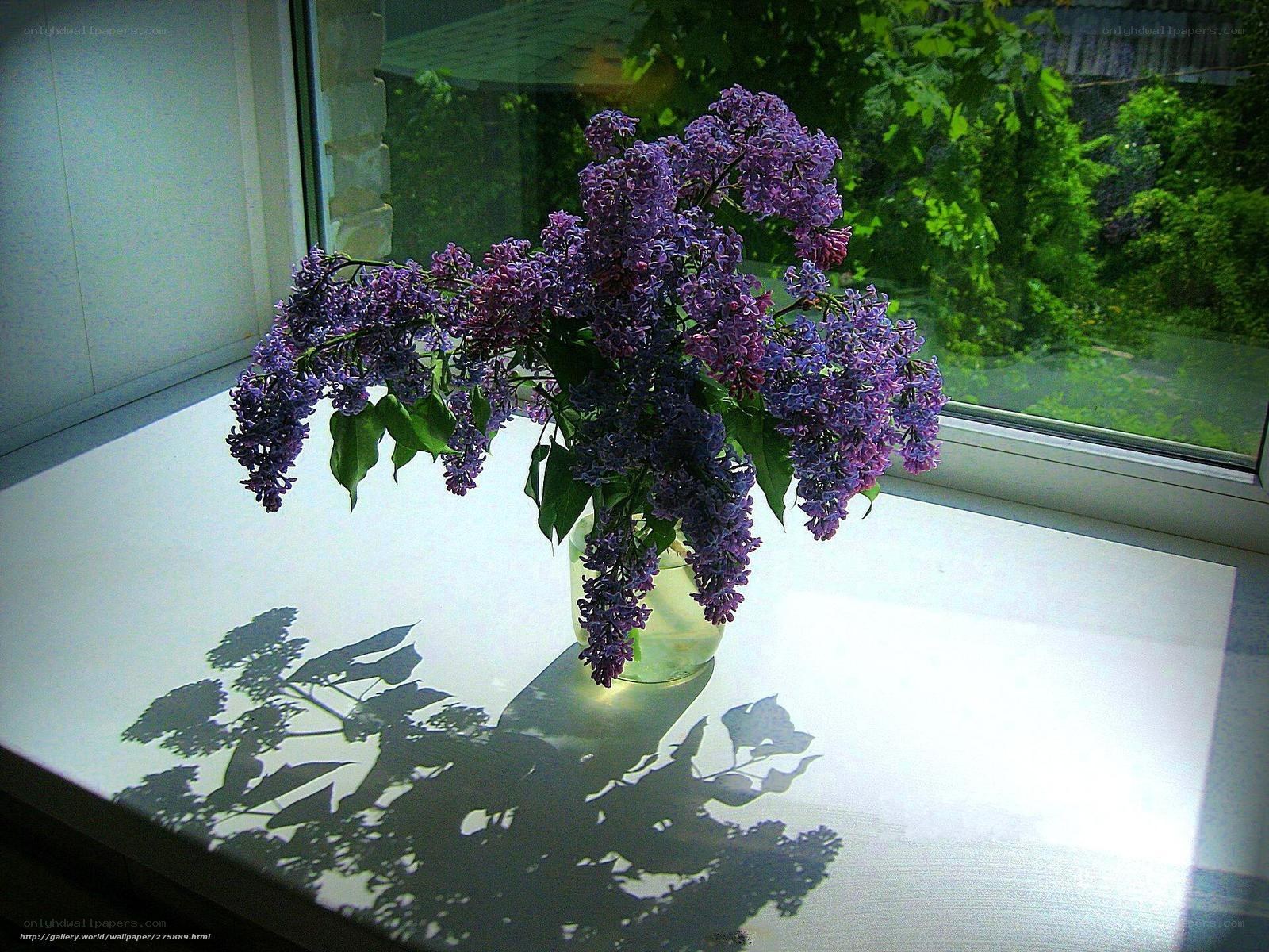Lilac bouquet on windowsill