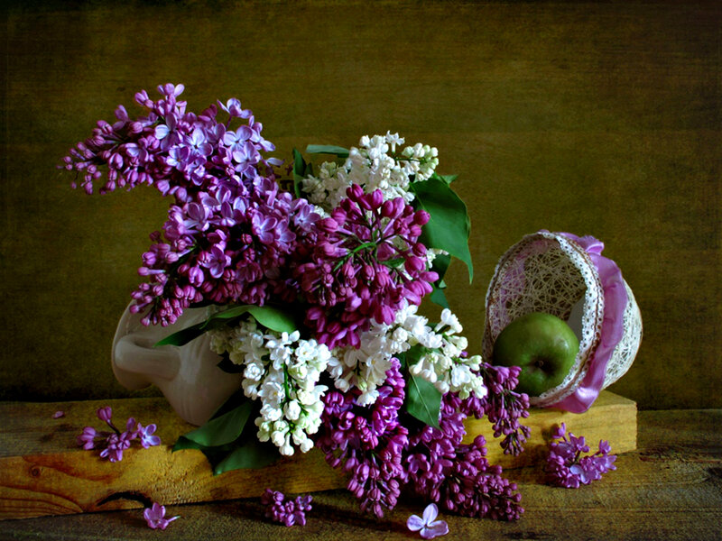 Lilac Bouquet with Apple