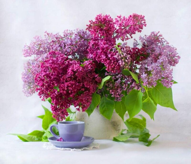 Lilac Bouquet with Cup