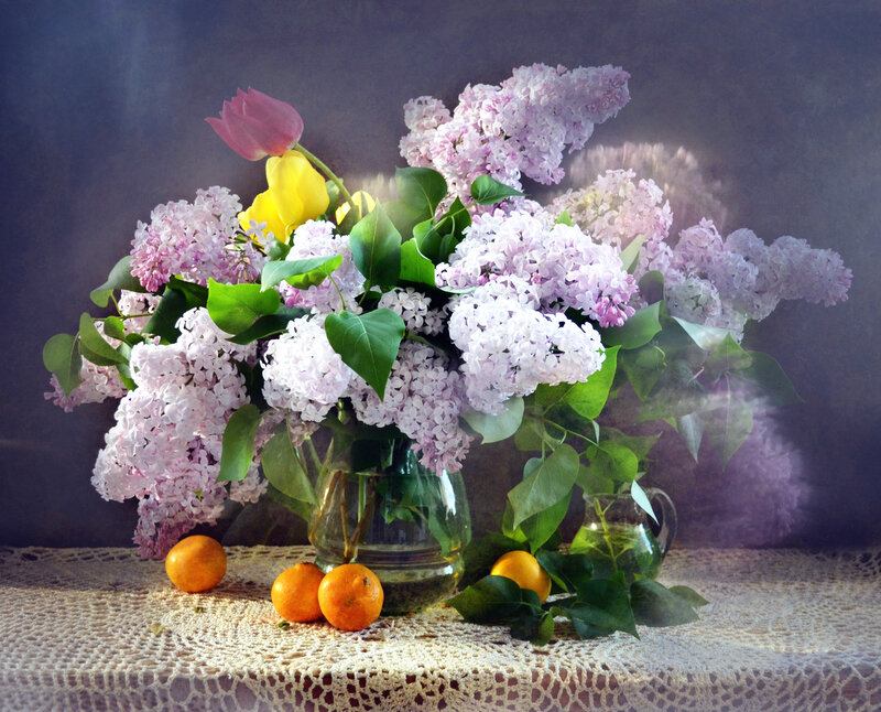 Lilac Bouquet with Oranges — Purple, Serene, Spring