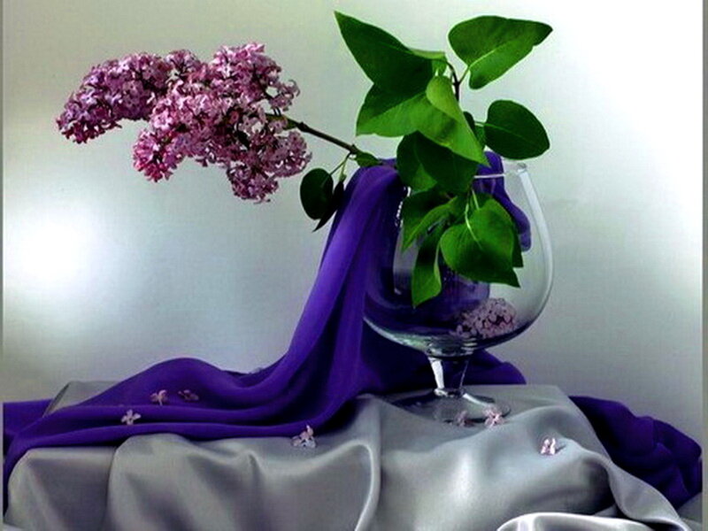 Lilac Branch in Vase — Purple, Serene