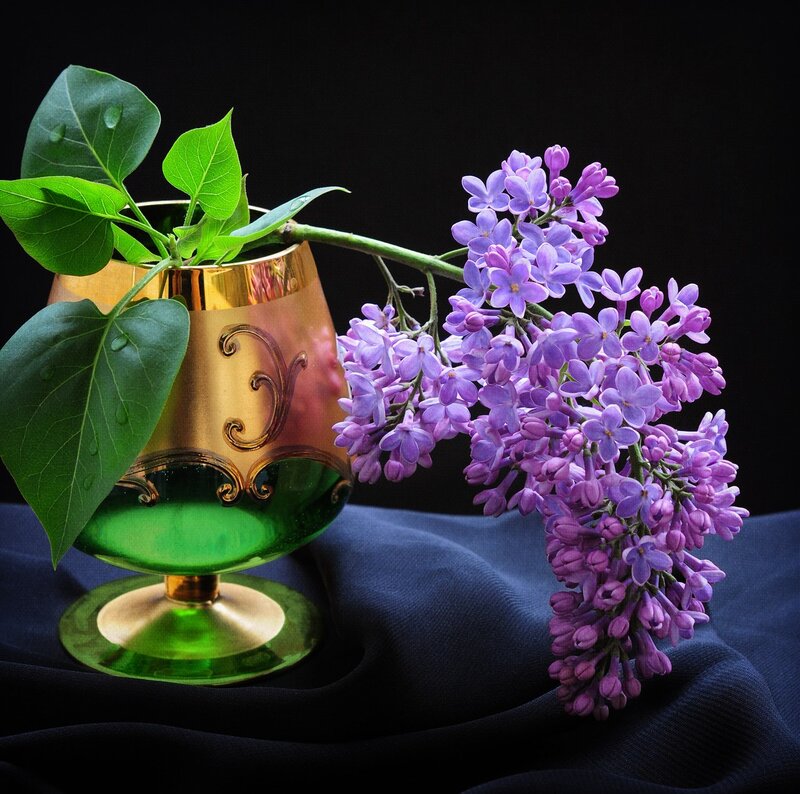 Lilac Branch in Vase — Purple