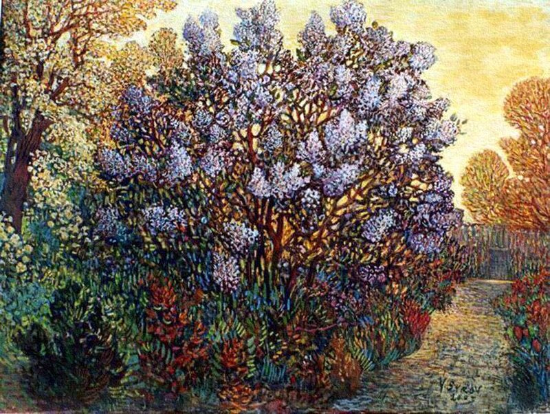 Lilac Bush in Garden