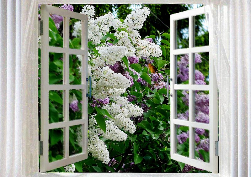 Lilac Bush with Bird