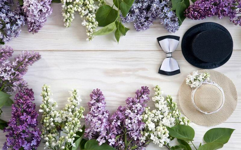 Lilac Flowers and Accessories