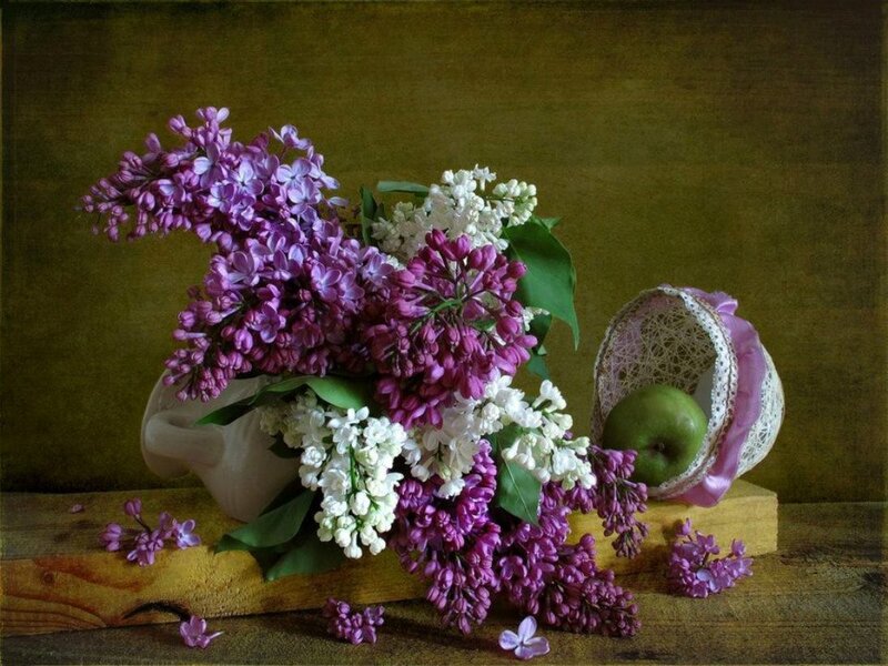 Lilac Flowers and Apple — Purple