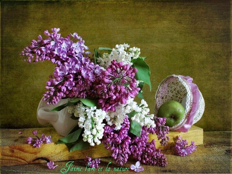 Lilac Flowers and Apple