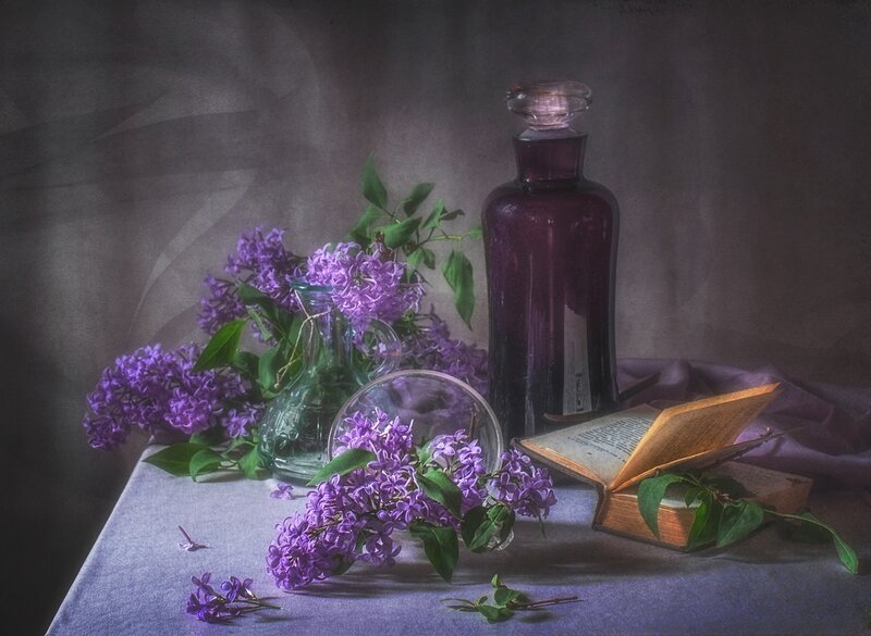 Lilac Flowers and Book — Purple, Serene