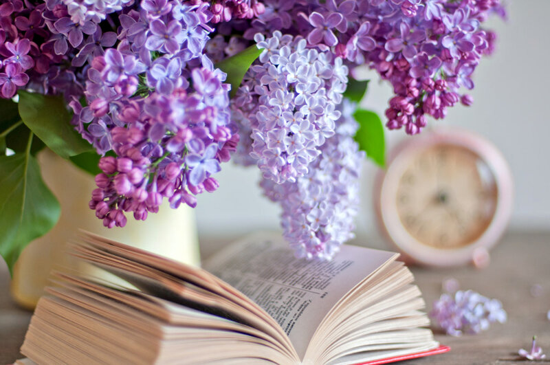 Lilac Flowers and Book — Purple