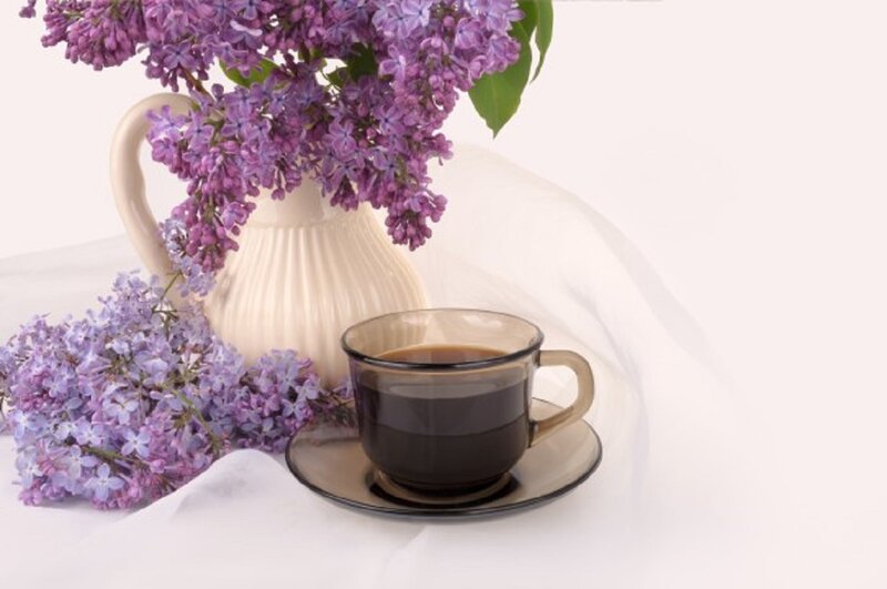 Lilac Flowers and Coffee Cup — Purple