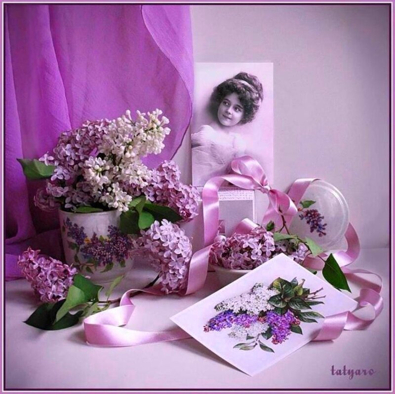 Lilac Flowers and Photo