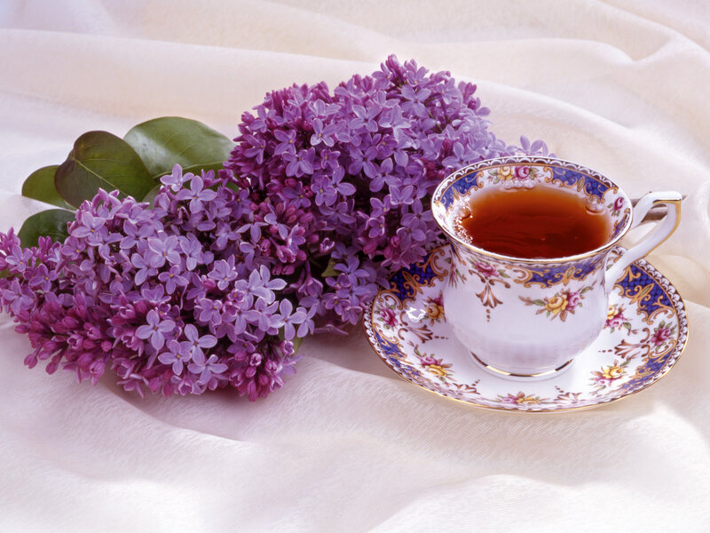 Lilac Flowers and Tea Cup — Purple, Serene, Photograph