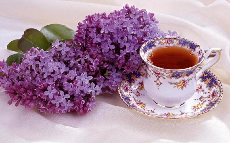Lilac Flowers and Tea Cup — Purple, Serene