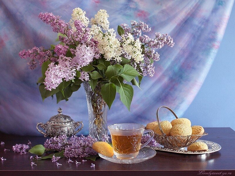 Lilac Flowers and Tea