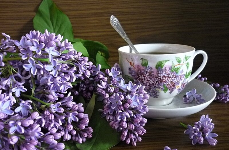 Lilac Flowers and Teacup — Purple, Serene, Spring