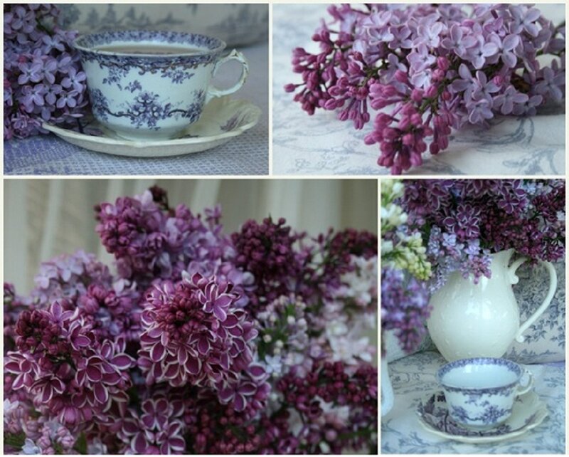 Lilac Flowers and Teacup — Purple, Serene