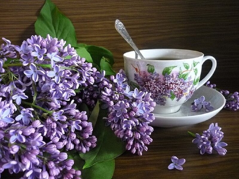 Lilac Flowers and Teacup — Purple