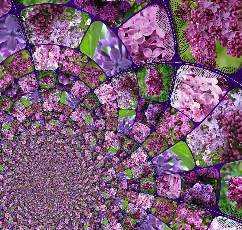Lilac Flowers Collage