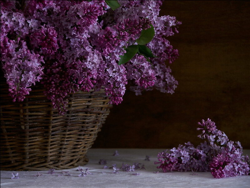 Lilac flowers in a basket