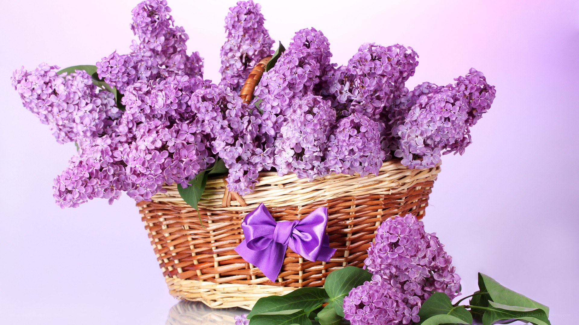 Lilac flowers in a basket