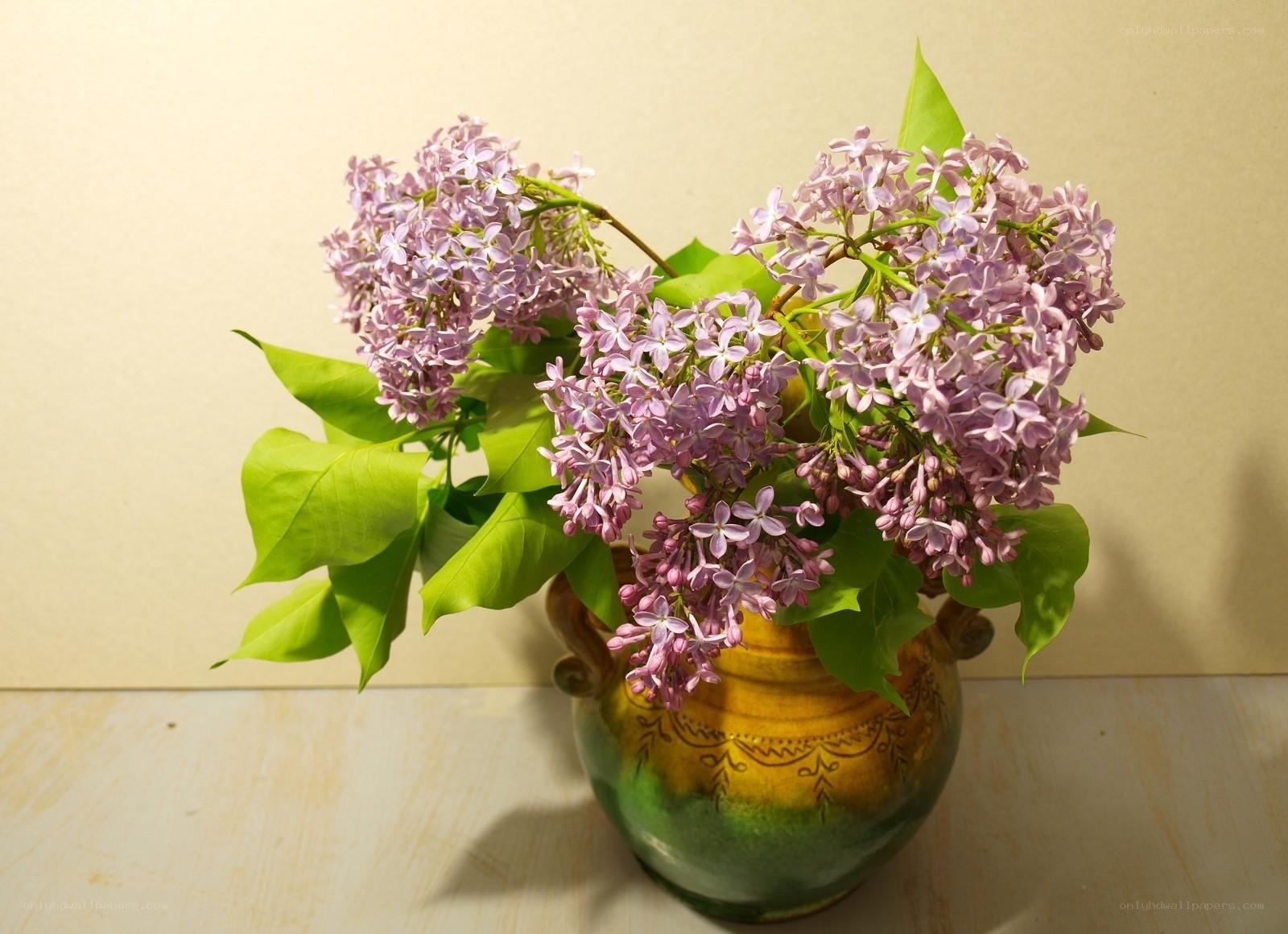 Lilac flowers in a vase