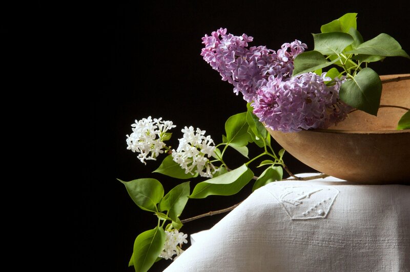 Lilac flowers in a wooden bowl