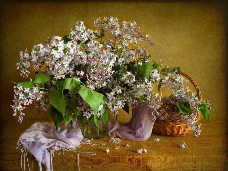 Lilac Flowers in Basket — Purple, Calm, Spring, Photograph, Cloth