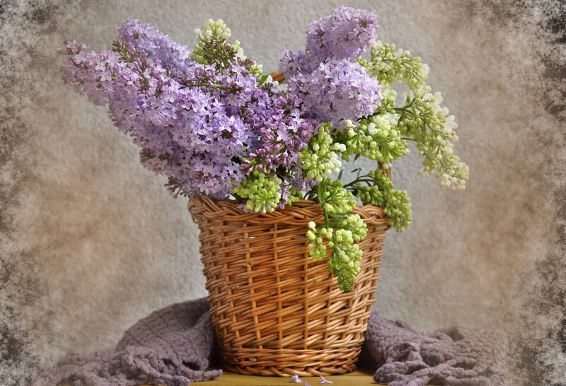 Lilac Flowers in Basket — Purple, Calm, Spring, Photograph, Cloth, Wall