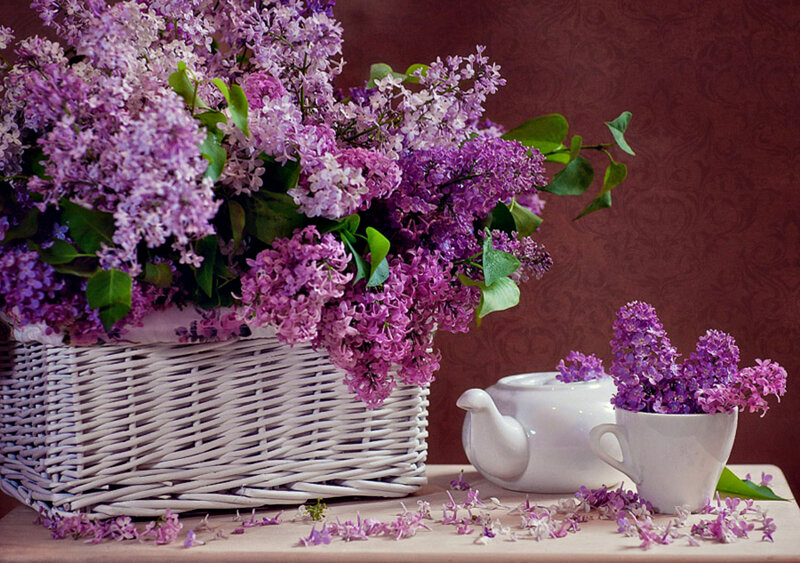 Lilac Flowers in Basket — Purple, Calm, Spring, Photograph, Teapot