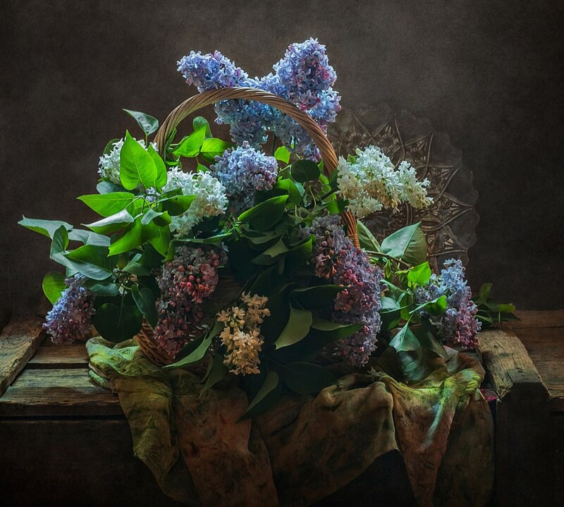 Lilac Flowers in Basket — Purple, Dramatic, Photograph, Cloth