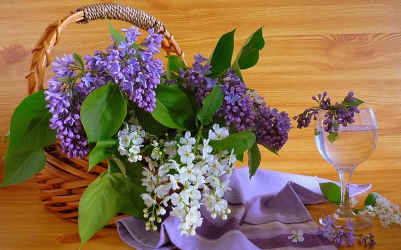 Lilac Flowers in Basket — Purple, Serene, Spring, Photograph, Glass of Water, Napkin