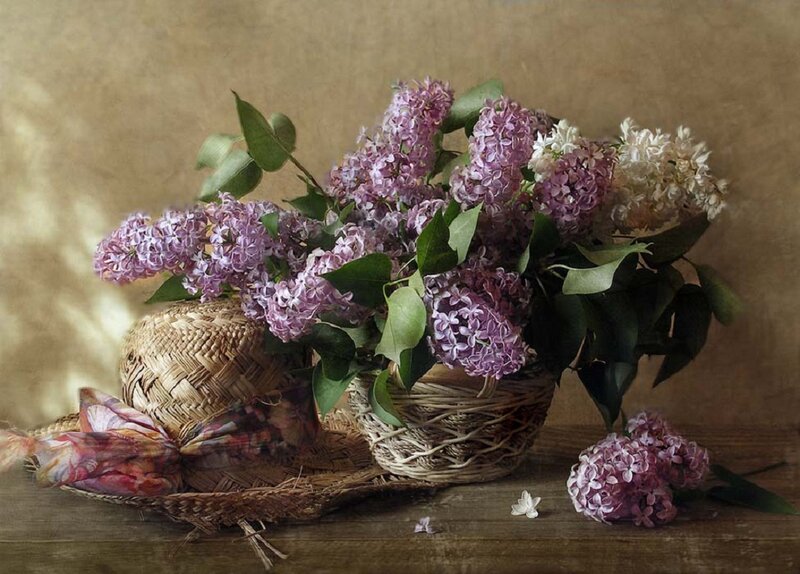 Lilac Flowers in Basket — Purple, Serene, Spring, Photograph, Hat