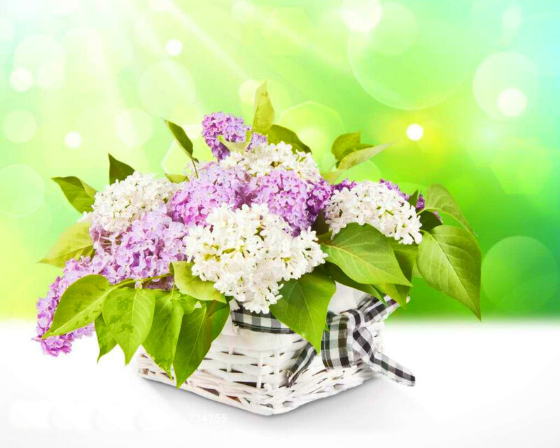 Lilac Flowers in Basket — Purple, Serene, Spring, Photograph, Leaves, Ribbon