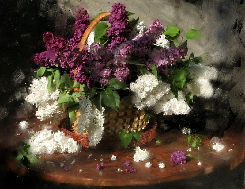 Lilac Flowers in Basket — Purple, Serene, Spring
