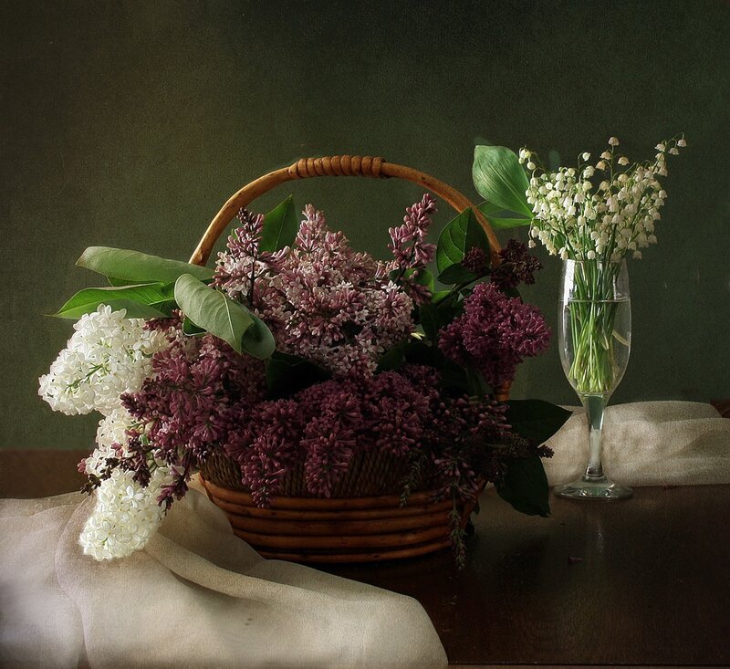 Lilac Flowers in Basket — Purple, Serene