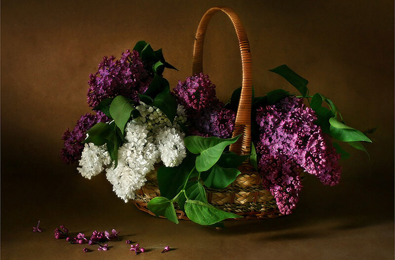 Lilac Flowers in Basket