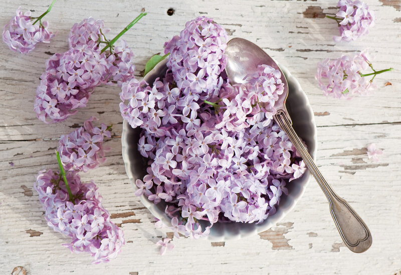 Lilac Flowers in Bowl